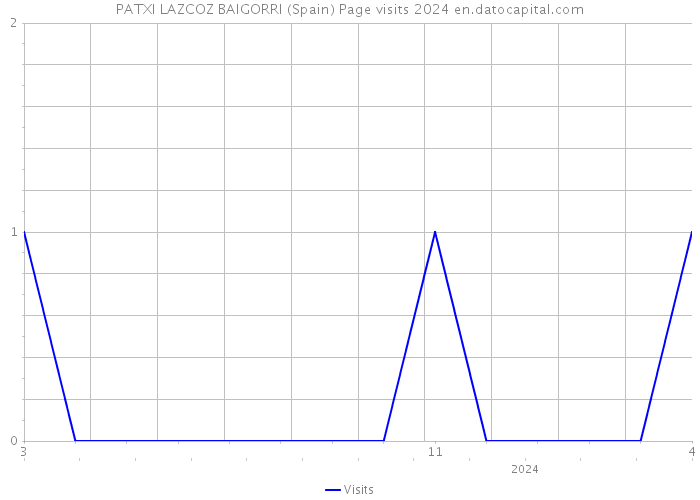 PATXI LAZCOZ BAIGORRI (Spain) Page visits 2024 