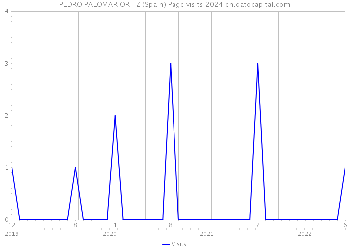 PEDRO PALOMAR ORTIZ (Spain) Page visits 2024 