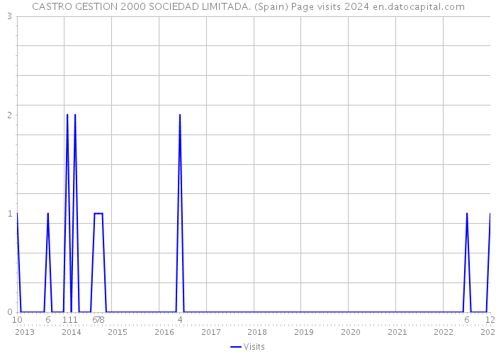 CASTRO GESTION 2000 SOCIEDAD LIMITADA. (Spain) Page visits 2024 