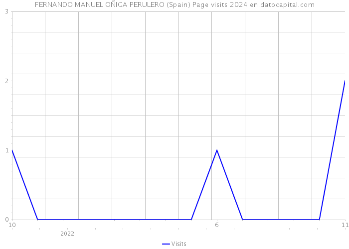 FERNANDO MANUEL OÑIGA PERULERO (Spain) Page visits 2024 