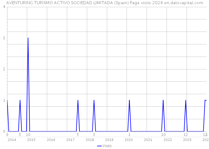 AVENTURING TURISMO ACTIVO SOCIEDAD LIMITADA (Spain) Page visits 2024 