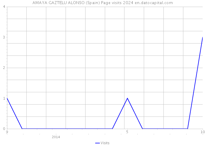 AMAYA GAZTELU ALONSO (Spain) Page visits 2024 