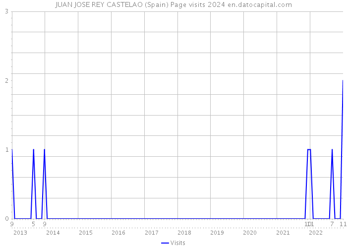 JUAN JOSE REY CASTELAO (Spain) Page visits 2024 