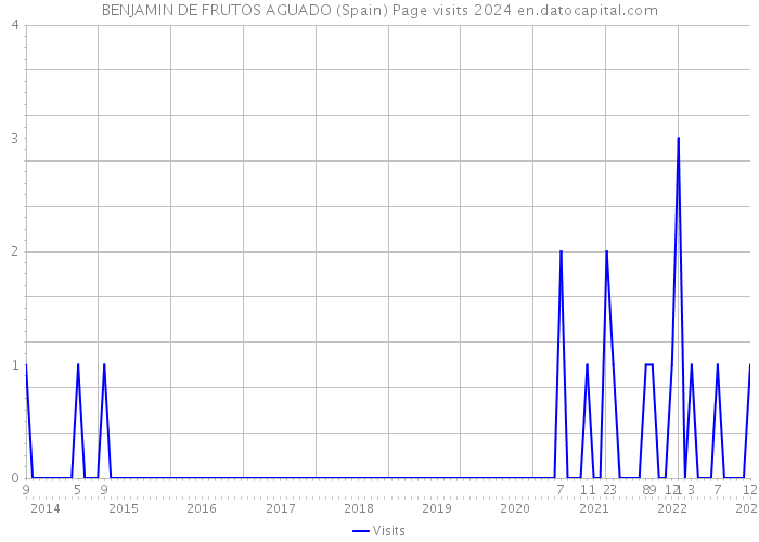 BENJAMIN DE FRUTOS AGUADO (Spain) Page visits 2024 