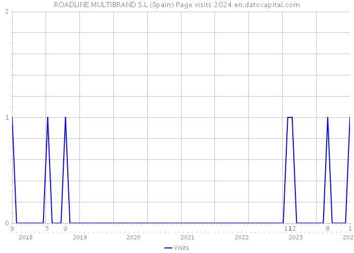 ROADLINE MULTIBRAND S.L (Spain) Page visits 2024 