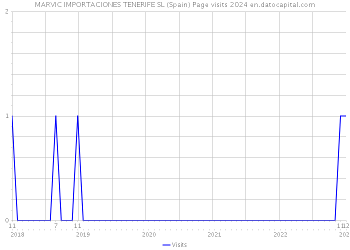 MARVIC IMPORTACIONES TENERIFE SL (Spain) Page visits 2024 