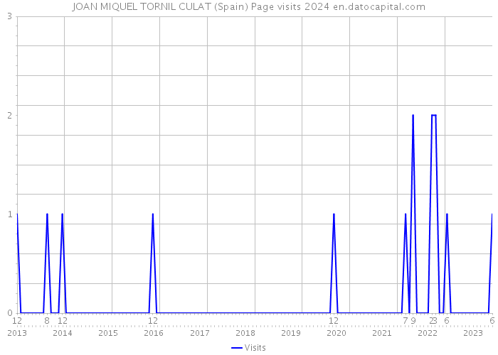 JOAN MIQUEL TORNIL CULAT (Spain) Page visits 2024 