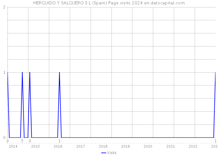 HERGUIDO Y SALGUERO S L (Spain) Page visits 2024 
