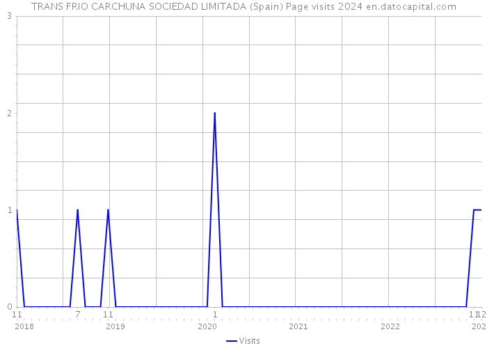 TRANS FRIO CARCHUNA SOCIEDAD LIMITADA (Spain) Page visits 2024 