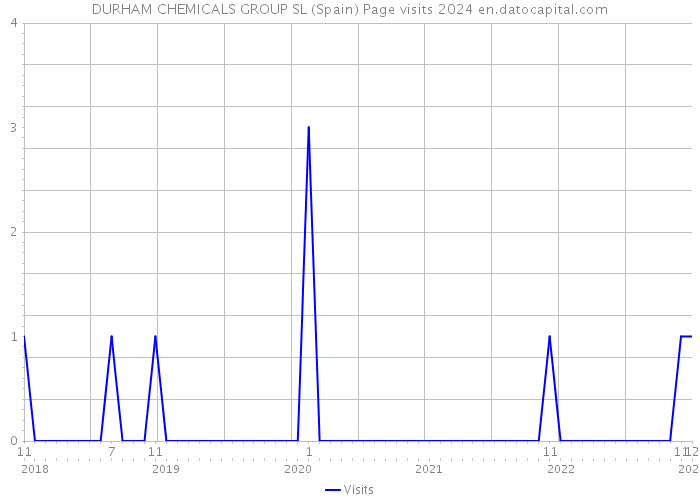 DURHAM CHEMICALS GROUP SL (Spain) Page visits 2024 
