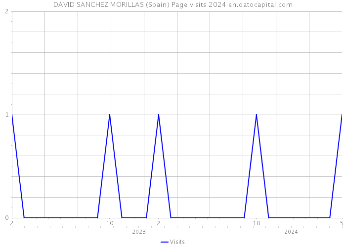 DAVID SANCHEZ MORILLAS (Spain) Page visits 2024 