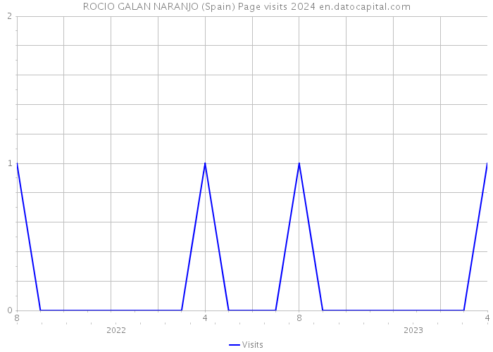 ROCIO GALAN NARANJO (Spain) Page visits 2024 