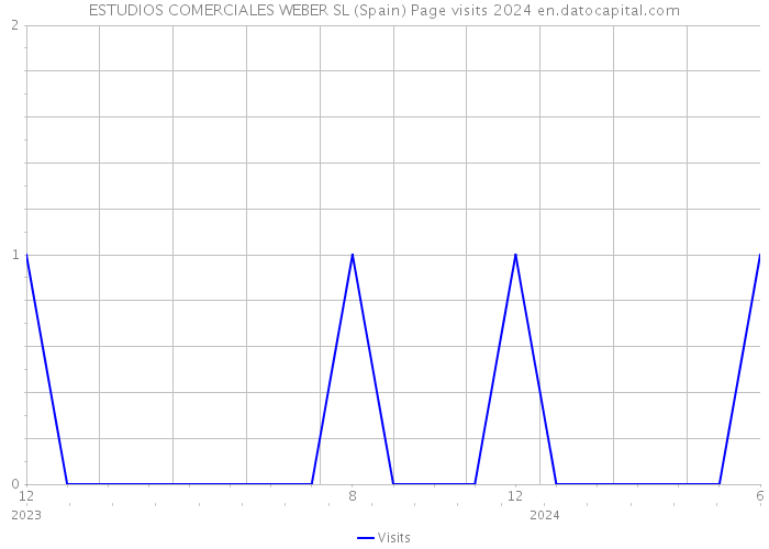 ESTUDIOS COMERCIALES WEBER SL (Spain) Page visits 2024 