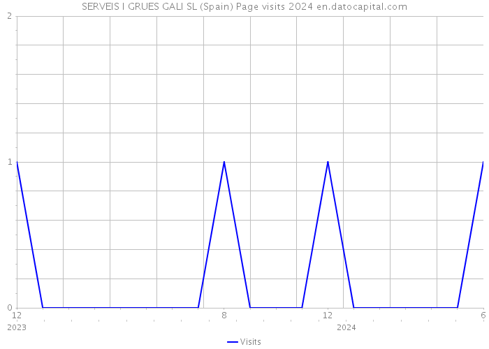 SERVEIS I GRUES GALI SL (Spain) Page visits 2024 