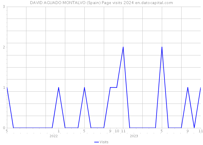 DAVID AGUADO MONTALVO (Spain) Page visits 2024 