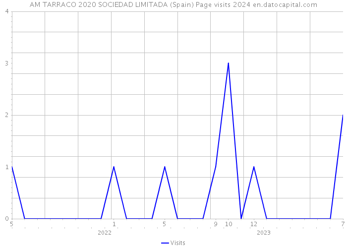 AM TARRACO 2020 SOCIEDAD LIMITADA (Spain) Page visits 2024 