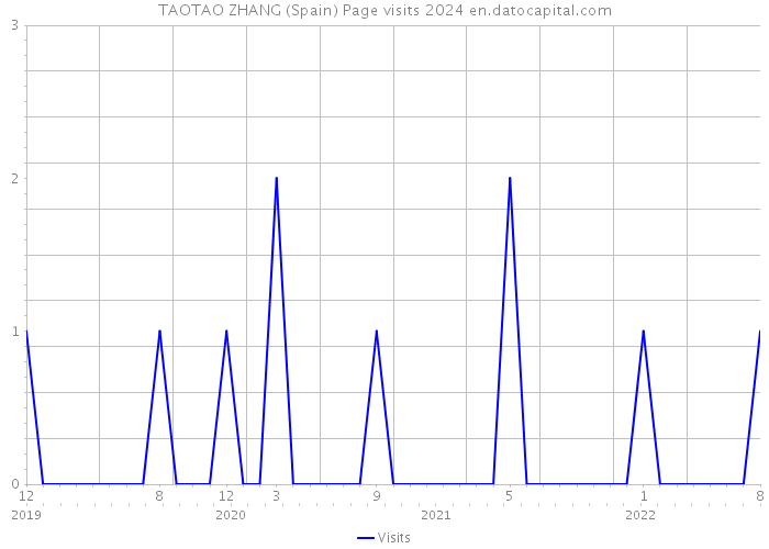 TAOTAO ZHANG (Spain) Page visits 2024 