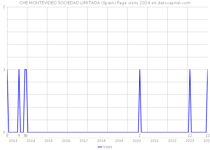 CHE MONTEVIDEO SOCIEDAD LIMITADA (Spain) Page visits 2024 