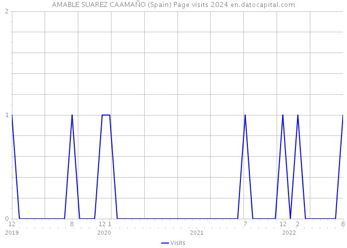 AMABLE SUAREZ CAAMAÑO (Spain) Page visits 2024 