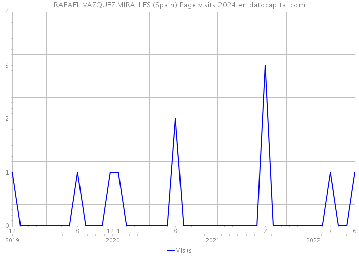 RAFAEL VAZQUEZ MIRALLES (Spain) Page visits 2024 