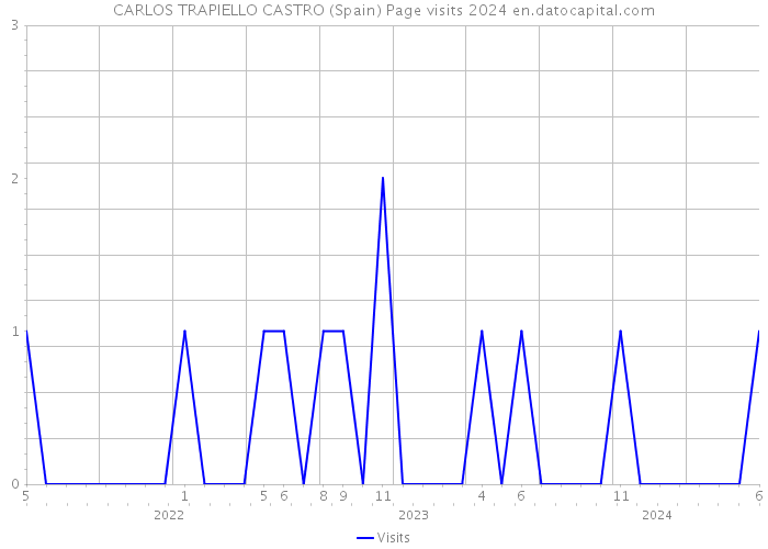 CARLOS TRAPIELLO CASTRO (Spain) Page visits 2024 