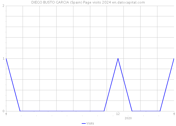 DIEGO BUSTO GARCIA (Spain) Page visits 2024 