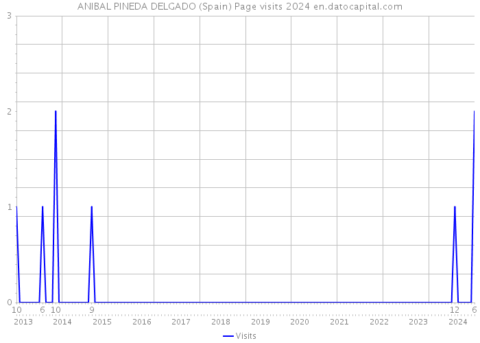 ANIBAL PINEDA DELGADO (Spain) Page visits 2024 