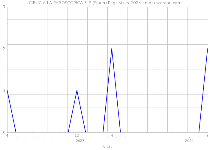 CIRUGIA LA PAROSCOPICA SLP (Spain) Page visits 2024 