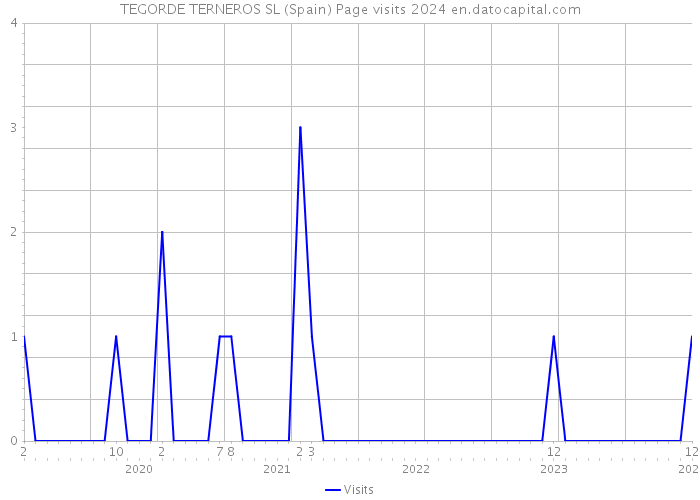 TEGORDE TERNEROS SL (Spain) Page visits 2024 