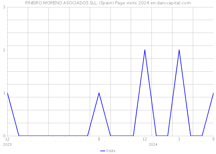 PINEIRO MORENO ASOCIADOS SLL. (Spain) Page visits 2024 