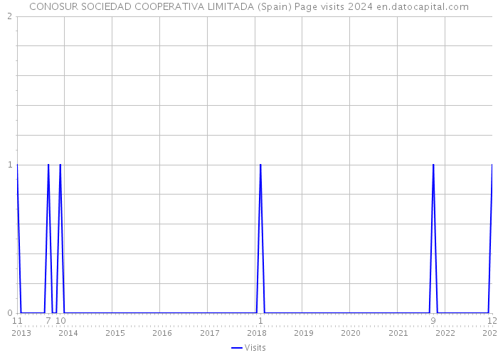 CONOSUR SOCIEDAD COOPERATIVA LIMITADA (Spain) Page visits 2024 