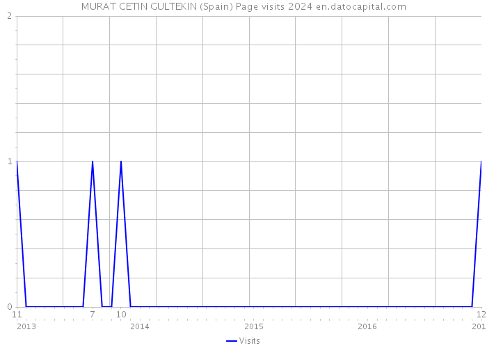 MURAT CETIN GULTEKIN (Spain) Page visits 2024 