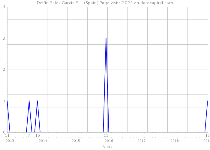 Delfin Sales Garcia S.L. (Spain) Page visits 2024 