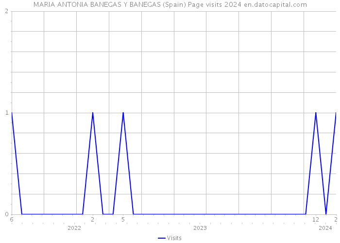 MARIA ANTONIA BANEGAS Y BANEGAS (Spain) Page visits 2024 