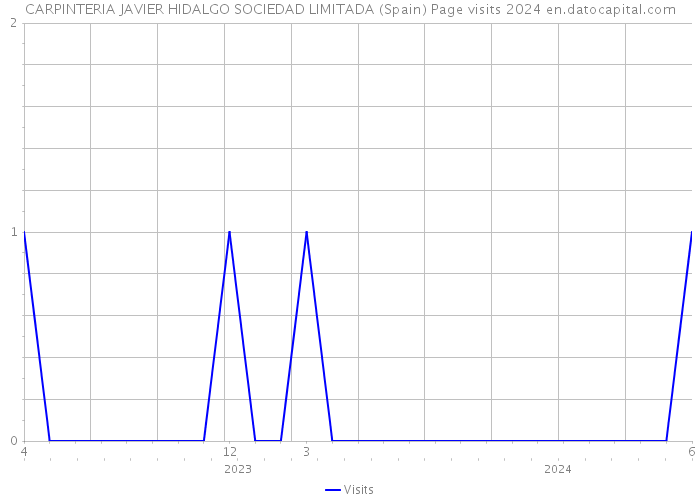 CARPINTERIA JAVIER HIDALGO SOCIEDAD LIMITADA (Spain) Page visits 2024 