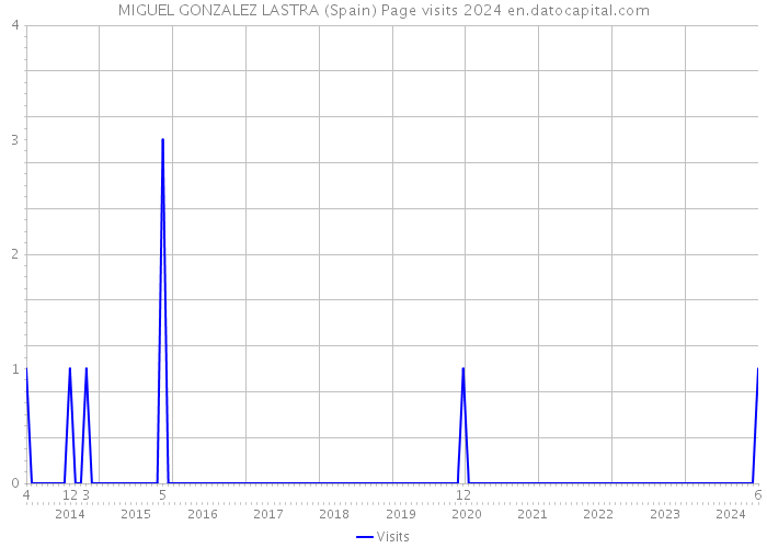 MIGUEL GONZALEZ LASTRA (Spain) Page visits 2024 