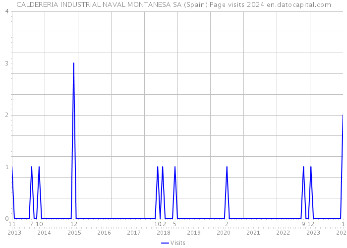 CALDERERIA INDUSTRIAL NAVAL MONTANESA SA (Spain) Page visits 2024 