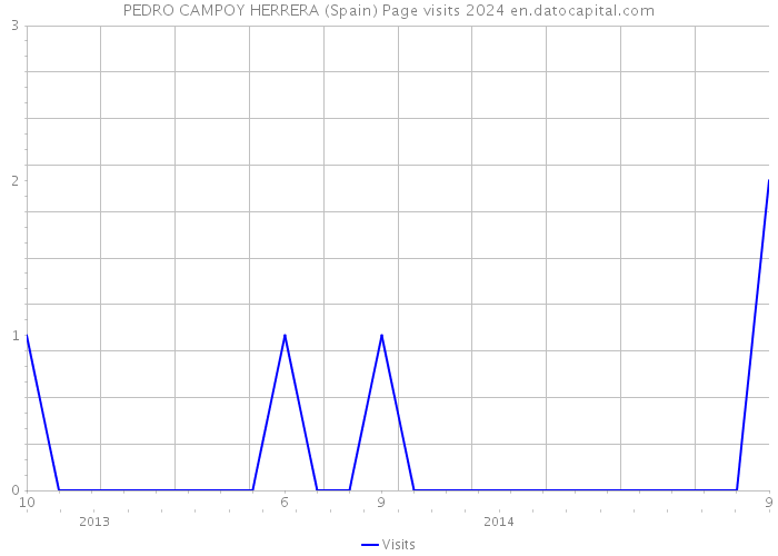 PEDRO CAMPOY HERRERA (Spain) Page visits 2024 