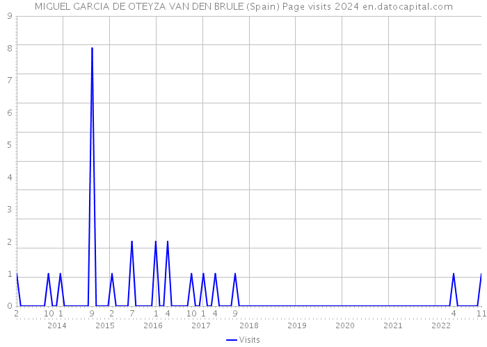 MIGUEL GARCIA DE OTEYZA VAN DEN BRULE (Spain) Page visits 2024 