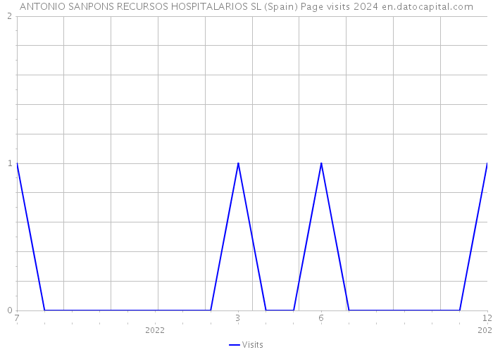 ANTONIO SANPONS RECURSOS HOSPITALARIOS SL (Spain) Page visits 2024 