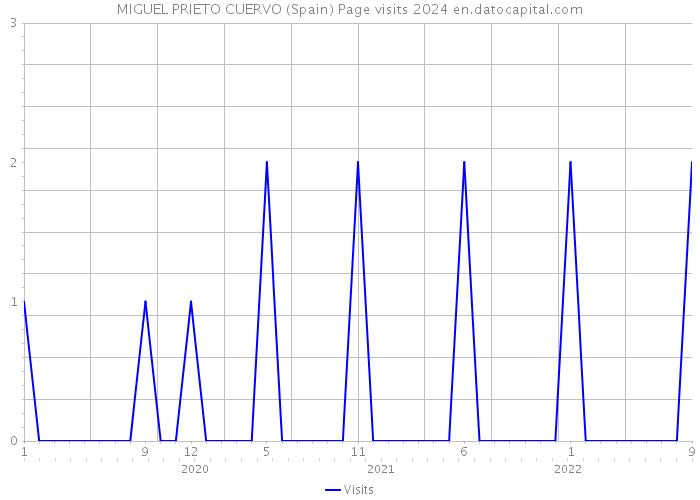 MIGUEL PRIETO CUERVO (Spain) Page visits 2024 
