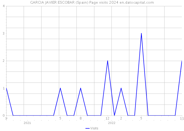 GARCIA JAVIER ESCOBAR (Spain) Page visits 2024 