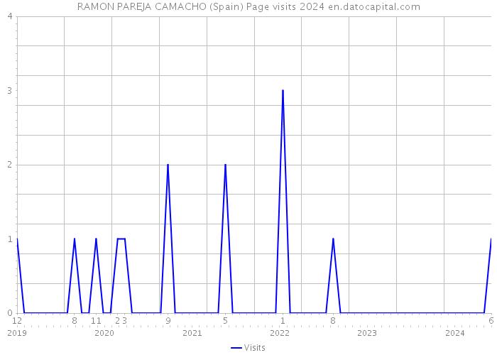 RAMON PAREJA CAMACHO (Spain) Page visits 2024 