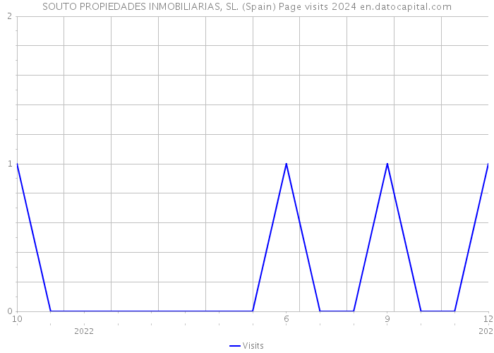 SOUTO PROPIEDADES INMOBILIARIAS, SL. (Spain) Page visits 2024 