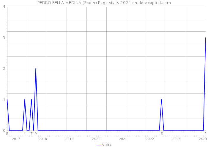 PEDRO BELLA MEDINA (Spain) Page visits 2024 