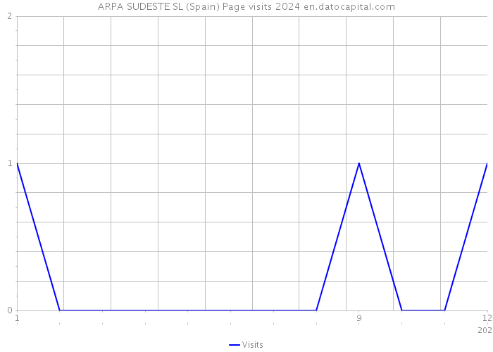 ARPA SUDESTE SL (Spain) Page visits 2024 