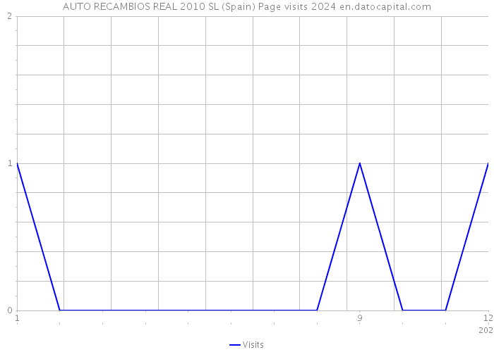 AUTO RECAMBIOS REAL 2010 SL (Spain) Page visits 2024 
