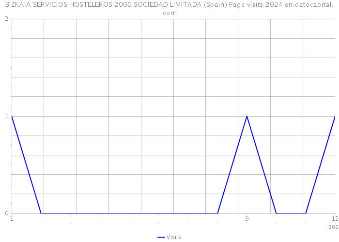 BIZKAIA SERVICIOS HOSTELEROS 2000 SOCIEDAD LIMITADA (Spain) Page visits 2024 