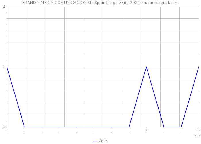 BRAND Y MEDIA COMUNICACION SL (Spain) Page visits 2024 