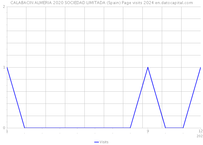 CALABACIN ALMERIA 2020 SOCIEDAD LIMITADA (Spain) Page visits 2024 